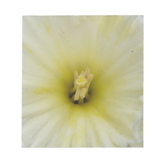 Bleek Daffodil Blocnote (Voorkant)
