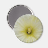 Bleek Daffodil Magnet (Voorkant / Achterkant)