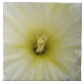 Bleek Daffodil Tile Tegeltje (Voorkant)