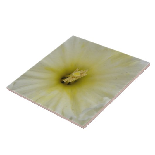 Bleek Daffodil Tile Tegeltje (Zijkant)