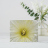 Bleek DaffodilBriefkaart Briefkaart (Staand voorkant)