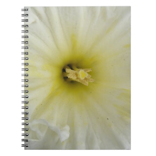  Bleek DaffodilNotitieboek Notitieboek (Voorkant)