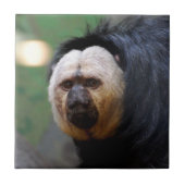 Bleek-faced Saki-aap Tegeltje (Voorkant)