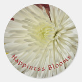 Bleek Geel en Wit Chrysanthemum Blossom Ronde Sticker (Voorkant)
