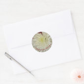 Bleek Geel en Wit Chrysanthemum Blossom Ronde Sticker (Envelop)