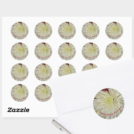 Bleek Geel en Wit Chrysanthemum Blossom Ronde Sticker