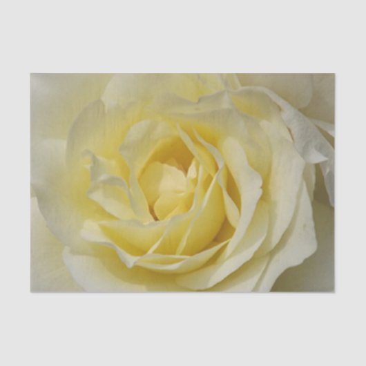 Bleek geel rose tissuepapier (Voorkant)