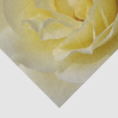 Bleek geel rose tissuepapier (Detail)