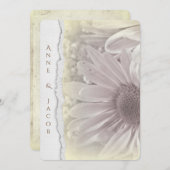 bleek gele daisy macro op verscheurd randpapier kaart (Voorkant / Achterkant)