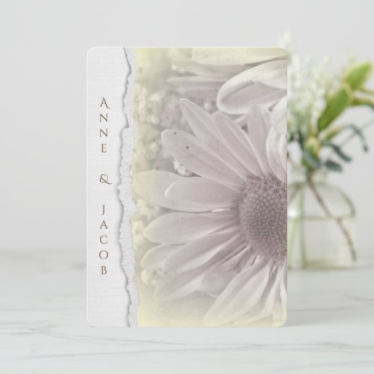 bleek gele daisy macro op verscheurd randpapier kaart (Staand voorkant)