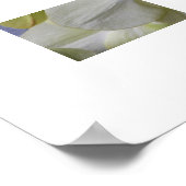 Bleek Gele Moth Orchids Floral Poster (Hoek)