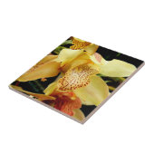 Bleek gele orchidee keramische tegels tegeltje (Zijkant)