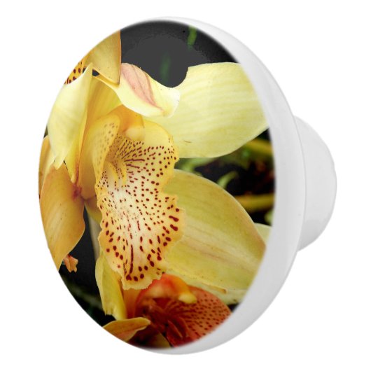Bleek gele orkanisch orchidee keramische knobbel keramische knop (Rechts)