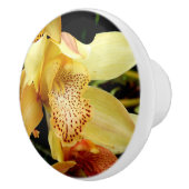 Bleek gele orkanisch orchidee keramische knobbel knop (Rechts)