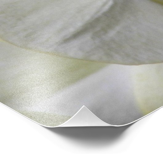 Bleek gele phalaenopsis orchideeën foto afdruk (Hoek)