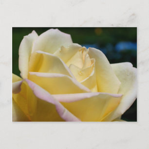 Bleek gele rozenbloem briefkaart