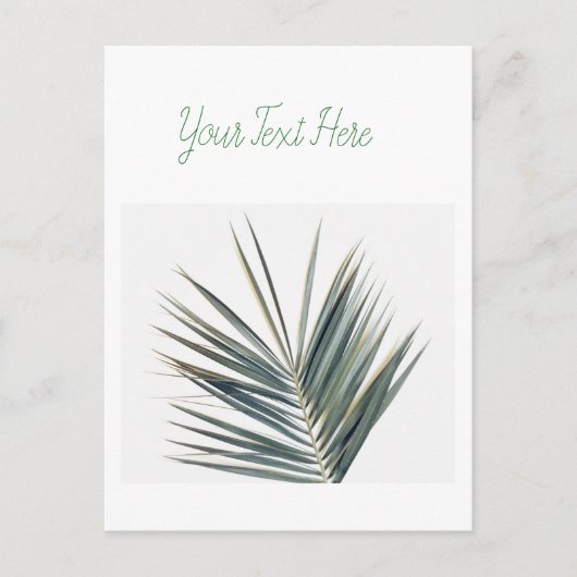 Bleek groen blad briefkaart (Voorkant)
