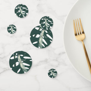 Bleek groen leder Zwitsers kaasmonstera deliciosa Confetti