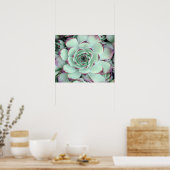 Bleek Groen met Paarse Succulent Close-Up Foto Poster (Keuken)