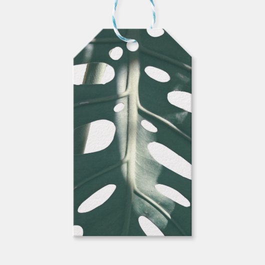 Bleek Groen Pastel Zwitsers Plant Cadeaulabel (Voorkant)