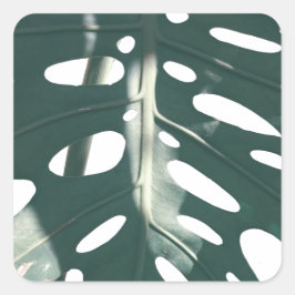 Bleek Groen Pastel Zwitsers Plant Vierkante Sticker