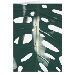 Bleek Groen Pastel Zwitsers Plant Wenskaart