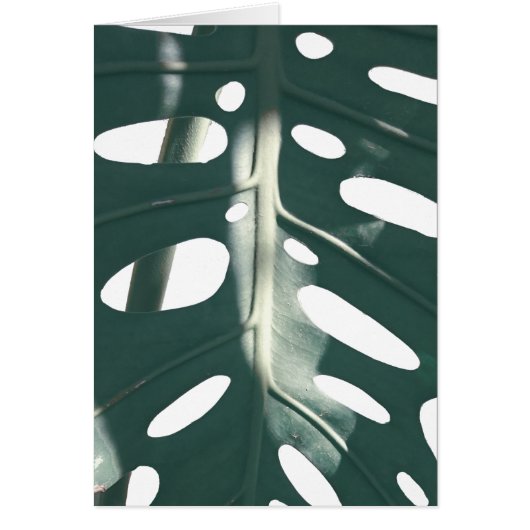 Bleek Groen Pastel Zwitsers Plant Wenskaart (Voorkant)