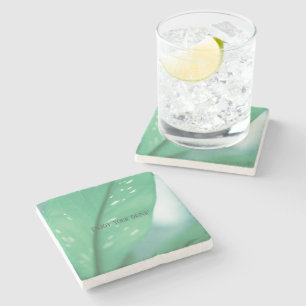 Bleek groen Plant laat Natuur voelen geniet van Dr Stenen Onderzetter