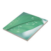 Bleek groen Plant laat Natuur voelen Tegeltje (Zijkant)