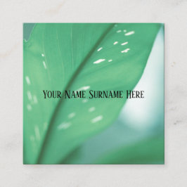Bleek groen Plant laat Natuur voelen Visitekaartje