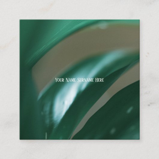 Bleek groen Plant laat Natuur voelen Visitekaartje (Voorkant)