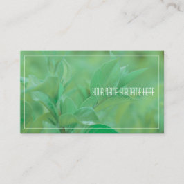 Bleek groen Plant laat Natuur voelen Visitekaartje