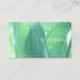 Bleek groen Plant laat Natuur voelen Visitekaartje