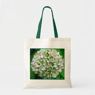 Bleek Hydrangea Budget Bag Tote Bag