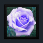 Bleek lavender Roos Cadebox Cadeaudoosje<br><div class="desc">Het prachtige Bleke Paarse Roos van de Lavender graast de bovenkant van deze Gift Box</div>