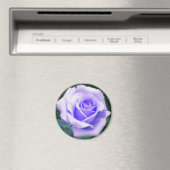 Bleek lavender Roos magnet (Insitu (Vaatwasser))
