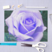 Bleek lavender Roos Tissuepapier (Craft)