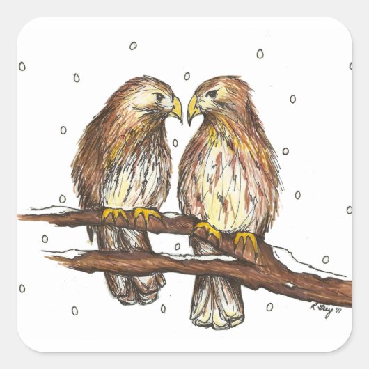 Bleek mannelijk natuurpark Red Tailed Hawk Bird Vierkante Sticker (Voorkant)