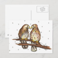 Bleek mannetje Lola Red Tailed Hawk Bird Winter Sn