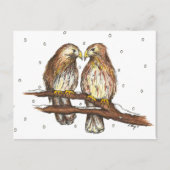 Bleek mannetje Lola Red Tailed Hawk Bird Winter Sn Briefkaart (Voorkant)