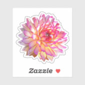 Bleek Ombre Oranje Roze Giant Dahlia Flower Sticker (Vel)