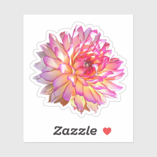 Bleek Ombre Oranje Roze Giant Dahlia Flower Sticker (Vel)