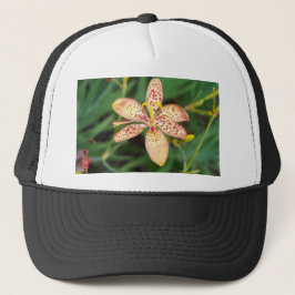 Bleek oranje gespikkelde Blackberry lelie Trucker Pet