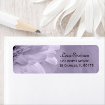 Bleek Paars gekleurd Gerber Daisy Return-adres
