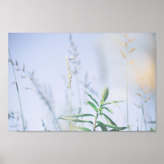 Bleek pasta Green Grass Reeds Meadow Sky Poster (Voorkant)