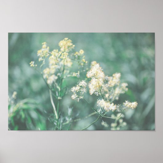 Bleek pasta Green Wild Flowers Meadow Poster (Voorkant)
