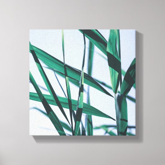 Bleek pasteelgroen graszaad canvas afdruk (Voorkant)