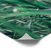 Bleek pasteelgroen graszaad poster (Hoek)