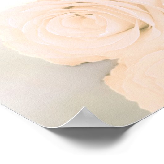 Bleek Peach Roos 6 Table Wedding Seating Chart Poster (Hoek)