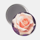 Bleek Peach Roos Magnet (Voorkant / Achterkant)